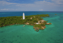 L’île de Chumbe : un véritable coin de paradis pour les amateurs de plongée et de randonnée