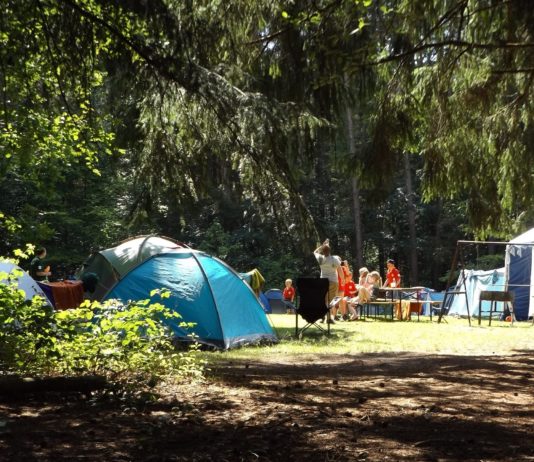 Voyagez en camping-car : quel véhicule choisir pour une famille de 4 ou 5 personnes ?
