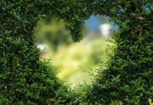 Coach love : comment accéder à la profession ?