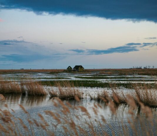 Les incontournables de la Vendée : les meilleures choses à voir et à faire